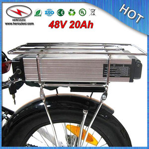 High Capacity Electric Bike Battery 48V 20Ah Lithium Battery 1000W / Rear Rack Battery with BMS 54.6V 2A Charger